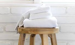 Terry Towels
